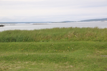 These unremarkable-seeming sod mounds hold the evidence of the Viking encampment. 